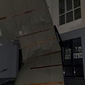 Поваленные деревья и поврежденные крыши: ураган на Тернопольщине натворил беды