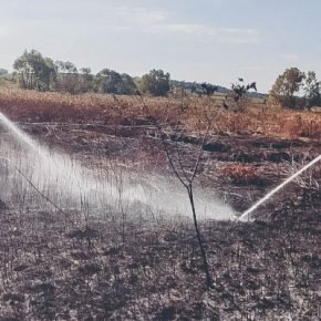 Пожар в Кременецкой области: 12 спасателей тушат торф