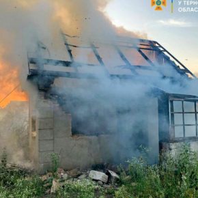 В Тернополе за день произошли два пожара на территории бездействующего садового кооператива