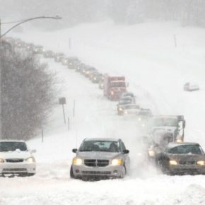 29 ноября в Тернопольской области - метель и снег
