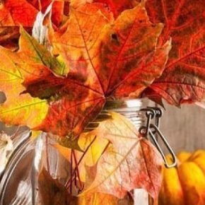 Ноябрь принесет на Тернопольщину очередную порцию осеннего тепла