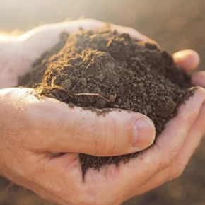 Продавать по 10 тыс. га земель в одни руки – это формировать монополию на рынке