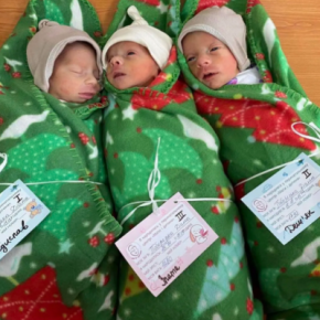 Тернопольские тройняшки уже набрались сил и перевели их на следующий этап выхаживания