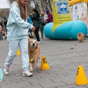 В Тернополе состоялся забег «УсоЛапоХвост»