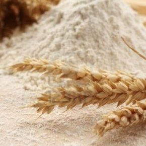 Украина стала второй по объему страной-поставщиком муки в ЕС в 2022 году
