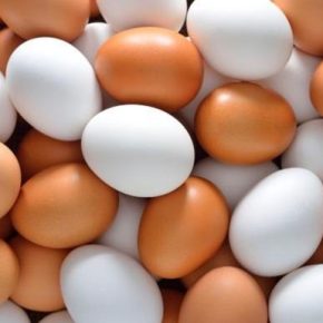 Будет ли дефицит яиц в Украине: прогноз