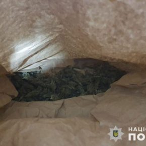 Совершал насилие и хранил наркотики: задержали жителя Тернопольщины