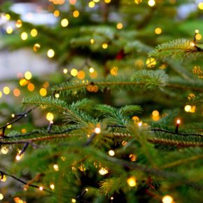 Интернет-мошенники предлагают праздничную атрибутику