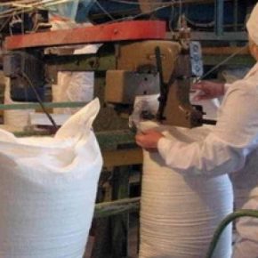 На Тернопольщине – один из самых высоких показателей урожайности сахарной свеклы в Украине