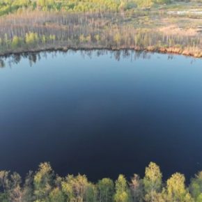 В канун Рождества в пруду на Тернопольщине обнаружили массовую гибель рыбы