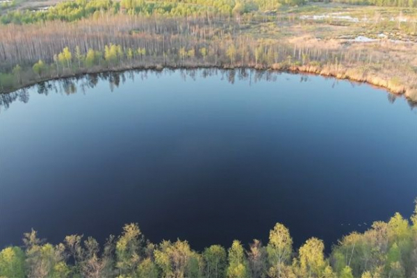 Накануне Рождества в пруду на Тернопольщине обнаружили массовую гибель рыбы