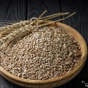 Украина должна сохранить землю и быть с хлебом