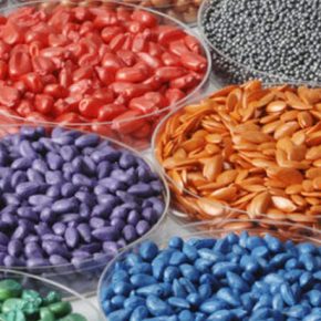 Использование обработанных семян позволяет приспособиться к резким колебаниям погоды весной: опыт фермеров