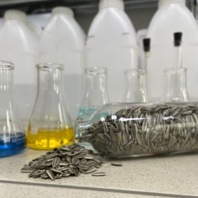 Больше семян, меньше почвы и качество удобрений: что аграрии исследовали в 2023 году?