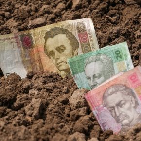 Капитализация рынка сельхозземель в 2023 году увеличилась на 89,9 млрд грн