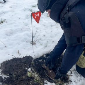 В Тернопольской области на кладбище нашли минометную мину