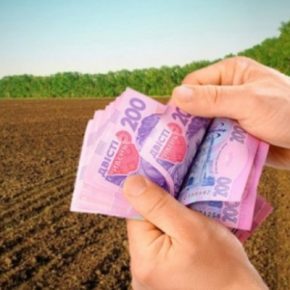 Что нужно для покупки земельных участков сельскохозяйственного назначения