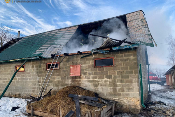 В селе на Тернопольщине во время пожара погибли десять свиней