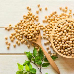 В сезоне 2023 года в Тернопольской области хорошо уродила соя