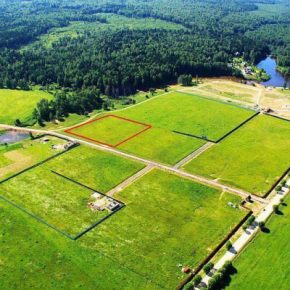 Жительница Чорткова подделала документы и незаконно стала владелицей земли