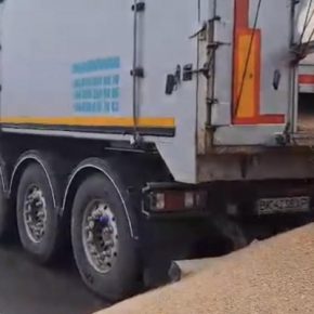 Странное совпадение: активность Путина и блокада границы