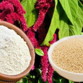 Эксперт назвал одну из самых перспективных и прибыльных культур для украинских фермеров