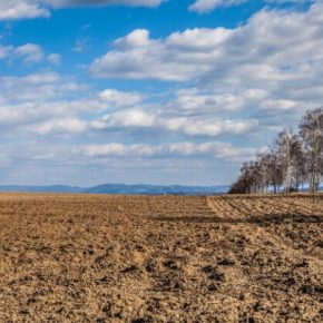 В Тернопольской области объявили подозрение городскому голове