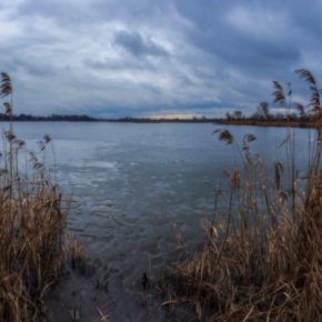 В Тернопольской области в реке Серет нашли тело мужчины