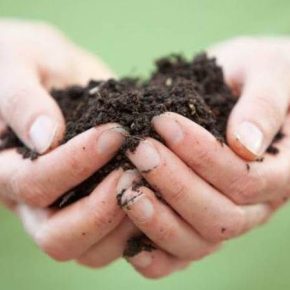 Программа USAID АГРО предоставит 5,6 млн грн на воплощение проекта по предотвращению коррупции в сфере земельных отношений