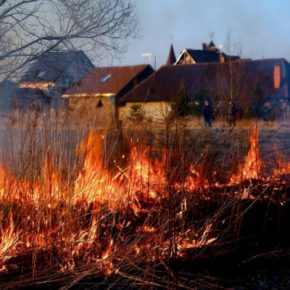 За сутки спасатели Тернопольщины тушили четыре пожара сухой травы