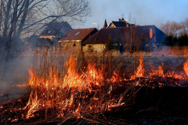 За сутки спасатели Тернопольщины тушили четыре пожара сухой травы