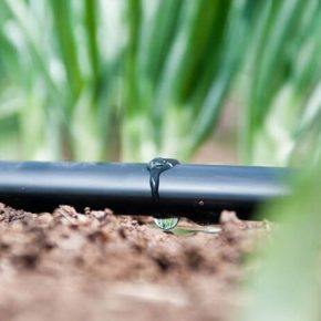 Орошать посевы на больших площадях можно с помощью смартфона