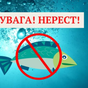1 апреля начинается нерестовый запрет на отлов рыбы