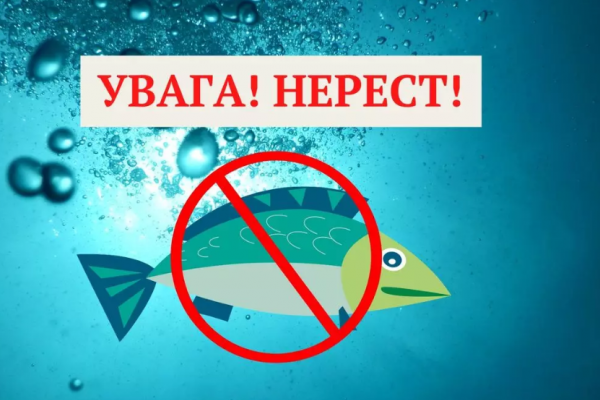 1 апреля начинается нерестовый запрет на вылов рыбы