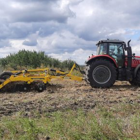 Качественная обработка почвы - основа основ