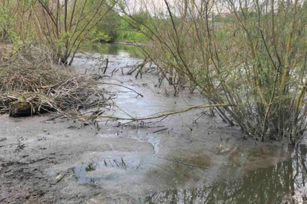  «На огородах овощи плавают»: река на Тернопольщине подтапливает двор’я и огороды