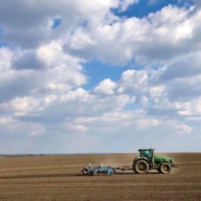 В Тернопольской области аграрии засеяли 54 тысячи гектаров земель