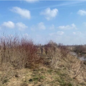 В Тернопольской области возле пруда нашли мертвого 36-летнего жителя Почаева