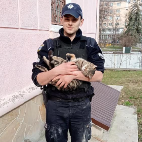 Тернопольские патрульные освобождали застрявшего между металлического ограждения кота.