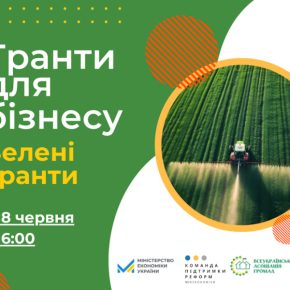 Грантовая поддержка бизнеса во время Зеленого перехода: какие программы актуальны в Украине