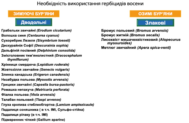  Гербицид Аквати 800 ЕС, КЕ — новинка для защиты зерновых культур осенью