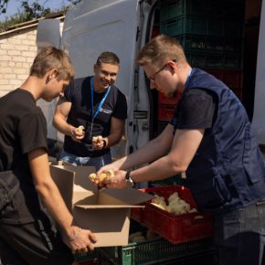 ФАО раздала полмиллиона однодневных цыплят-бройлеров семьям, проживающим в прифронтовых областях Украины