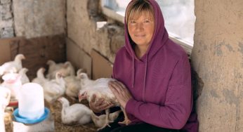 ФАО выпустила необычайный план и план раннего восстановления для Украины на общую сумму 150 миллионов долларов США.