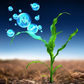 Инновации для эффективности: биологические продукты - новая граница сельскохозяйственного производства Инновации для эффективности: биологические продукты - новая граница сельскохозяйственного производства