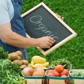 Кабинет утвердил обновленный закон об органических продуктах Кабинет утвердил обновленный закон об органических продуктах