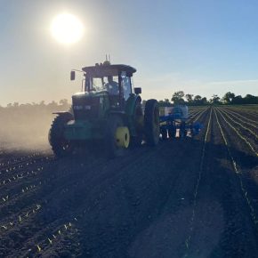 Посев 2025: как украинские фермеры используют наиболее доступные возможности