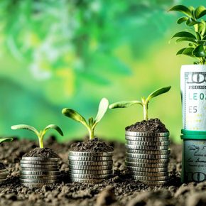 Прибыль агрокопалов Украины увеличилась 2,4 раза за 2024 год