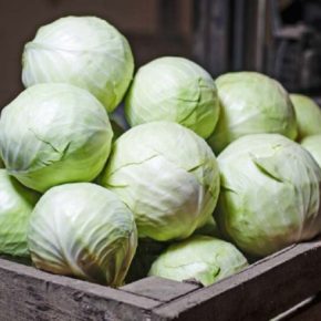 Украинцам: Старая капуста дороже Украинцам: Старая капуста дороже