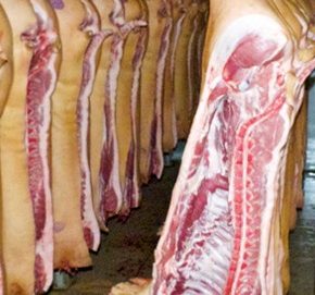 Цены на свинину живая масса: стабильная и консолидированная