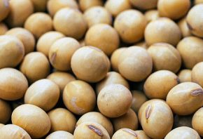 Экспорт сои из Украины в апреле снизился до трехмесячного минимума